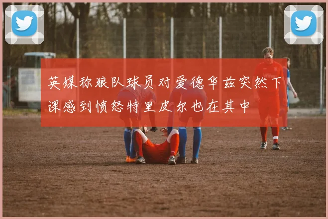 英媒称狼队球员对爱德华兹突然下课感到愤怒特里皮尔也在其中