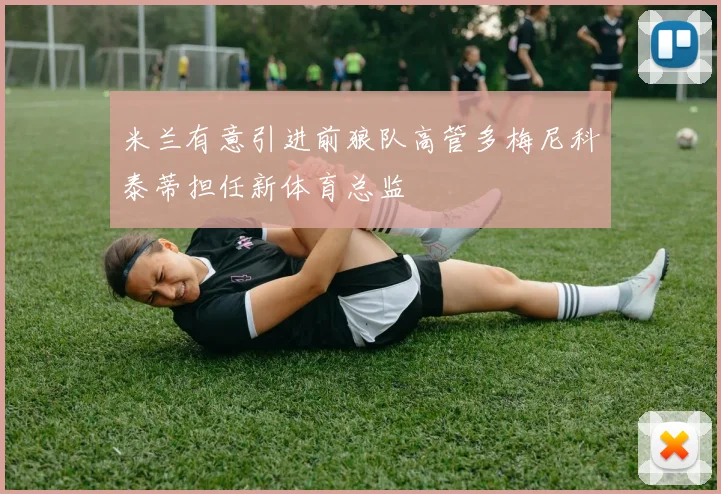 米兰有意引进前狼队高管多梅尼科泰蒂担任新体育总监